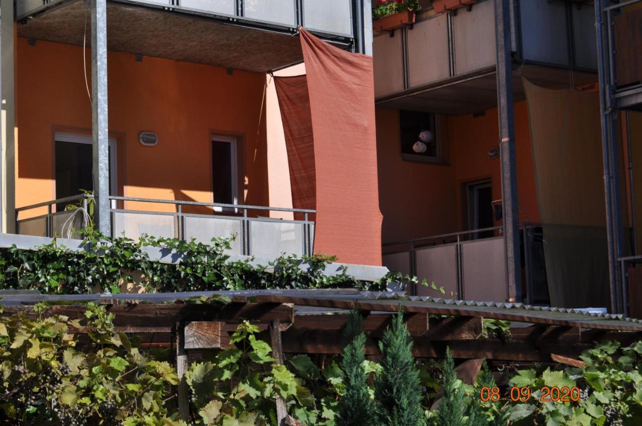 Pension Di Pino Aue  Exteriör bild